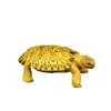 Estatueta de Tartaruga Realista Modelo Estático de Tartaruga Terrestre Animal Anfíbio Brinquedo de PVC para Crianças Figura de Animal Educacional Estatueta de Tartaruga Decorativa para Ag