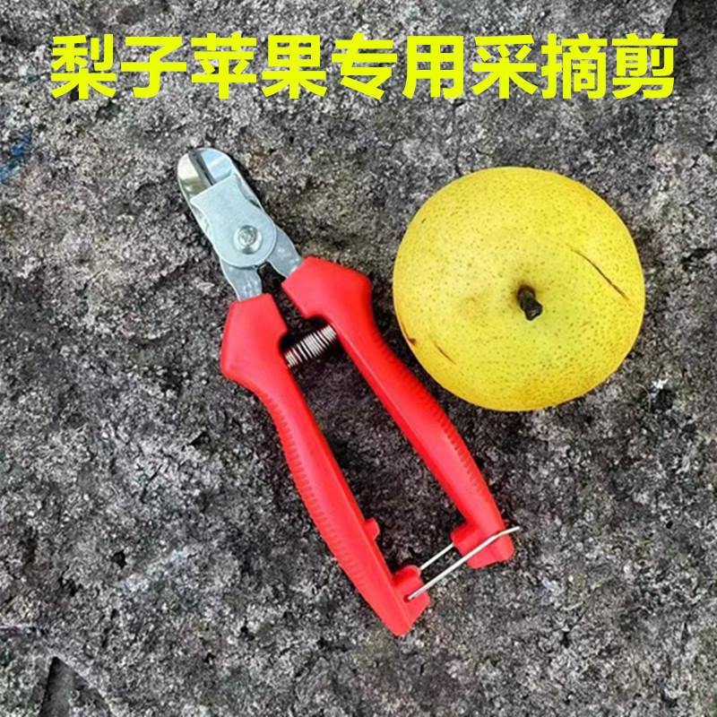 微信图片_20231021113837_副本 - 副本.jp