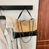 Bolso de Cadena de Diamantes para Mujer Otoño e Invierno 2025 Nuevo Versátil de Nicho Bolso Cruzado Satchel Retro Esmerilado Bolso Cubo