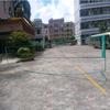 Red de Bádminton Padiyin Conveniente Plegable Simple 2/3 m/4 m/5 m/6 m Marco de Red de Bádminton