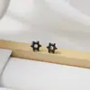 0 Brincos de Porcelana Bio Hipoalergênicos para Mulheres, Piercings de Orelha Studs para Osso da Orelha, Hastes de Orelha de Cerâmica, Acessórios de Orelha Simples para Dormir, Sem Pontas, Anti-Obstrução para Homens