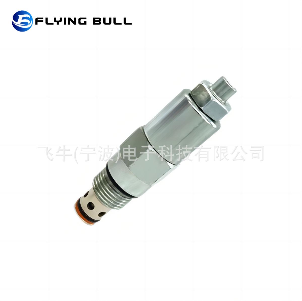 RV10-20 (5)
