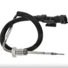 Deutz para Lamborghini Sensor 4216425