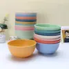 Artículos de Primera Necesidad de Venta Caliente Transfronteriza: Juego de Tazones de Paja de Trigo y Plástico para Arroz, Sopa, Fideos Instantáneos, Verduras, Anticaídas, Estilo Ins