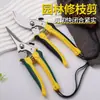 Tijeras Personalizadas para Herramientas de Jardín Tijeras de Podar y Recolección de Frutas Tijeras de Jardinería Tijeras para Recolección y Aclareo de Frutas Juego de Punta Codo