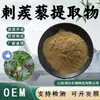 Extrato de Tribulus Terrestris 10:1 Solúvel em Água Grau Alimentício Produto para Cuidados com a Saúde Matéria-Prima Pó de Tribulus Terrestris Homólogo Medicinal e Alimentício Personalização