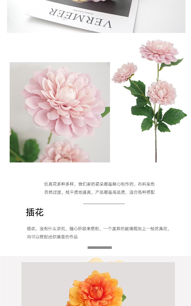 详情_14.jpg