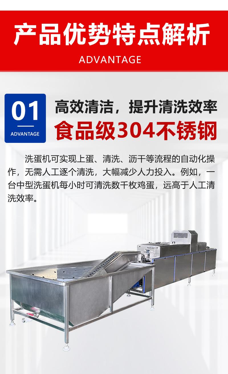单排洗蛋机 (4)