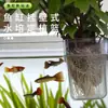 Estante de fijación para plantas hidropónicas de acuario canasta de plantación para colgar en la pared taza de plantación de plantas acuáticas para el hogar decoración de paisajismo de acuario maceta