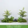 Simulación Planta Verde Paisajismo Planta Paisaje Combinación Adornos Exterior Maceta Alta Gama Lujo Ligero Flor Artificial Interior Piso Maceta