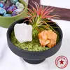 Placa de Pedras de Cristal Sala de Estar Cristal Branco Desmagnetização Conjunto Decoração Aromaterapia Ametista Cristal Rosa Planta em Vaso Decoração de Casa
