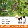 Óleo Essencial Puro de Aromaterapia Vegetal Importado Rosa Ylang Árvore do Chá Olíbano Laranja Lavanda Óleo Essencial de Aromaterapia