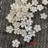 Accesorios DIY Flor de Concha Natural Concha Flor de Cerezo Cabello Horquilla Accesorios 10mm8mm12mm6mm