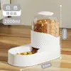 Dispensador de Água para Gatos Transfronteiriço Alimentador Automático Água Potável Dispensador de Água para Gatos Tigela para Cães e Gatos Combinação Suprimentos para Animais de Estimação