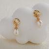 Pendientes de plata de ley S925 de cuerpo entero con perla de agua dulce natural de color tesoro, pendientes de flor de rosa con temperamento femenino, pendientes de perla