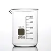 Béquer de Vidro Borossilicato Alto Sem Marcação 25ml 50ml 100ml 250ml 500ml Laboratório Resistente a Altas Temperaturas Copo de Medição