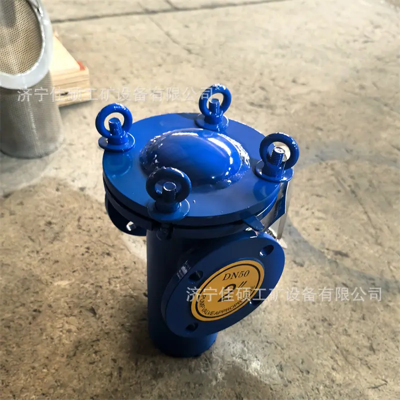 篮式过滤器 (10)