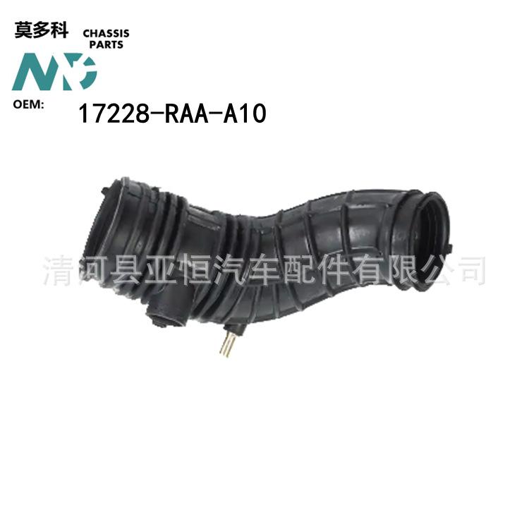 17228-RAA-A10 -0