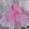 Vestido de Primeira Festa de Aniversário para Meninas, Vestido Rosa Fofo de Princesa para Bebê Menina no Verão, Vestido Tutu Rosa para Daminha de Casamento