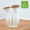 Juguetes Modelo de Verduras Simuladas y Frutas Falsas Adornos de Fotografía de Alimentos para Niños Accesorios de Exhibición Decoración de Habitación Modelo Ventana