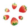 Accesorios de joyería de imitación de fruta y fresa, venta al por mayor, hechos a mano, fabricación de pendientes, collares, colgante de cuerda para el cabello casero