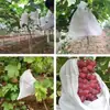 Bolsa Especial para Racimos de Uva Cubierta a Prueba de Pájaros e Insectos Techo Artefacto Patio Bolsa para Uvas Bolsa de Malla de Nylon Transparente Transpirable