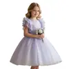 Vestido de princesa para niña transfronterizo, vestido de tutú de malla morada, vestido infantil, vestido para fiesta de cumpleaños, vestido de dama de honor