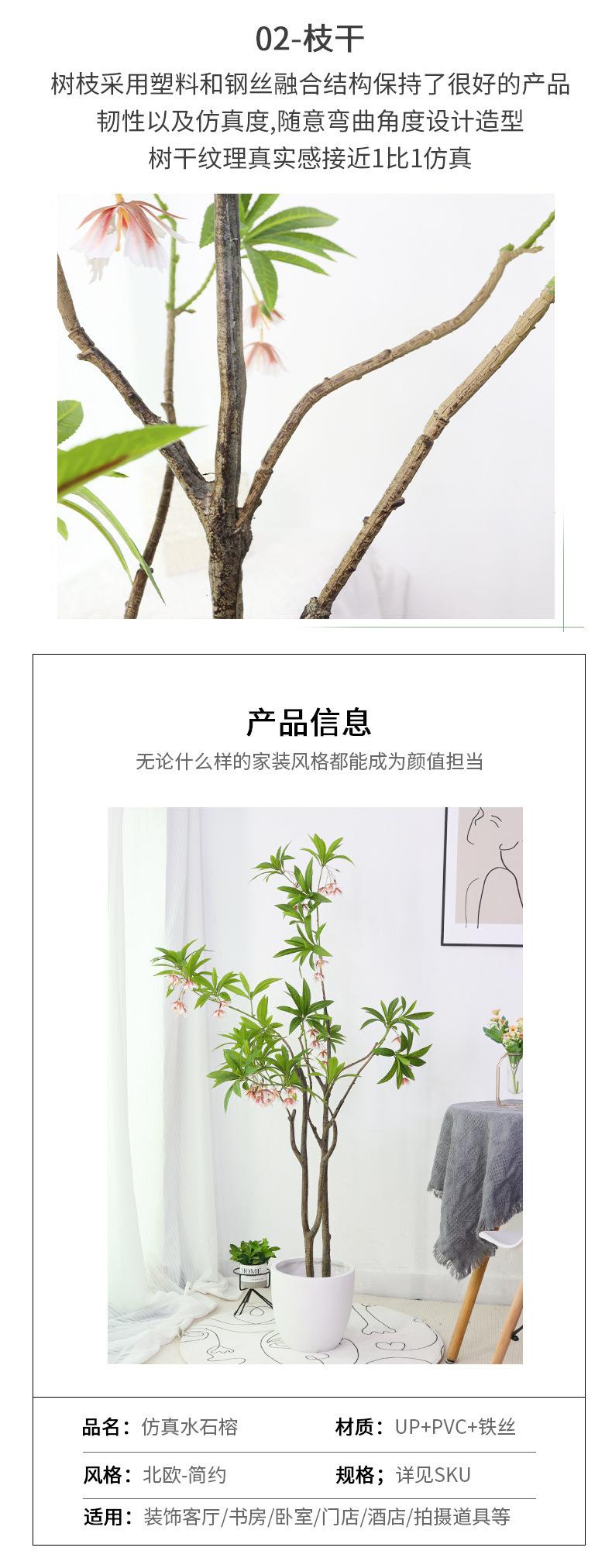 水石榕_08.jpg