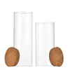 Em estoque na fábrica 80mm garrafa reta com rolha de cortiça de madeira garrafa de chá perfumado pote de armazenamento de cozinha garrafa de tubo de alto borossilicato pote de armazenamento