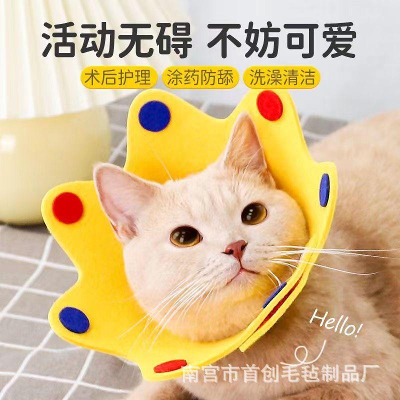 微信图片_20230725101741