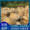 Guijarros Naturales de Río para Decoración de Jardín, Piedras de Paisajismo, Adornos para Césped, Piedras de Orilla de Río para Jardín, Rocas de lecho de Arroyo