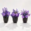 Planta Artificial de Vaso Transfronteiriça com Vaso, Decoração de Flor Artificial para Mesa de Casa Nórdica, Sala de Estar, Ornamento Criativo, Flor de Lavanda Roxa