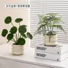 Plantas Verdes Artificiales, Flores Falsas, Flores Artificiales, Plantas Pequeñas de Escritorio en Maceta, Adornos Decorativos, Estanterías, Plantas Verdes Artificiales, Accesorios de Fotografía
