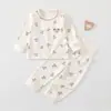 Conjunto de Algodón Puro para Bebé Primavera/Otoño para Niños y Niñas Recién Nacidos, Clase A, Sin Etiquetas, Manga Larga Ropa de Casa Conjunto de Dos Piezas