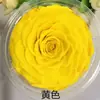Rosa Eterna Gigante de 10-12 cm Rosa Preservada Flor Eterna Navidad Tanabata Día de San Valentín Regalo de Cumpleaños
