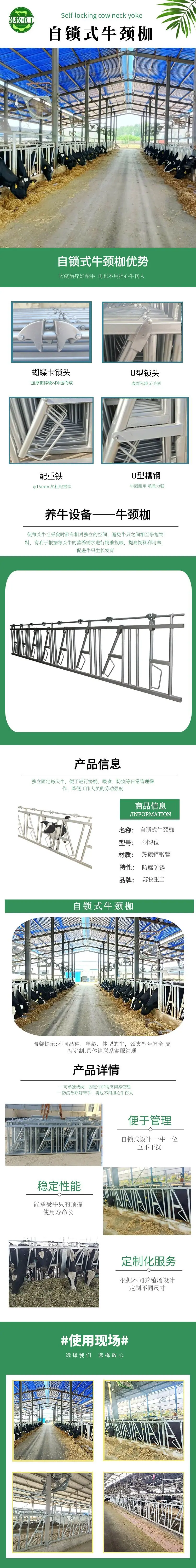 自锁式牛颈枷3.26