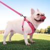 Correa para Perro Correa de Pecho para Perro al Aire Libre Cuerda para Pasear Perros Fadou Koji Salir para Prevenir que se Escape Pechera Reflectante para Perro