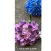 Fabricante de flores artificiales para bodas al aire libre de color púrpura, decoración de fondo de camino de boda fresco de color púrpura y amarillo, flores falsas al por mayor