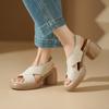 Sandalias de Hada con Plataforma de Tacón Grueso y Punta Abierta para Mujer, Nuevas de Verano 2026, de Tacón Alto, Impermeables, Versátiles, Punta Redonda, Estilo Romano