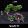 Decoración de Plato para Platos Fríos de Sashimi de Hotel con Arreglos Florales y Vegetales Creativos, Adornos de Pino Pequeños para Realzar la Presentación de Platos Emblemáticos