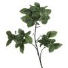 Planta de simulación hoja de clemátide decoración del hogar simulación impresión 3D tela de seda hoja verde planta verde arreglo floral al por mayor