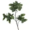 Plantas con Hojas Artificiales, Hojas de Ficus Artificiales, Decoración del Hogar, Arreglo Floral, Diseño de Maqueta de Casa, Plantas Verdes, Hojas de Clematis
