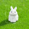 Nuevo producto transfronterizo: Accesorios decorativos DIY creativos y lindos de conejito para paisajismo de jardines, adornos en miniatura para terrarios de musgo