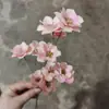 Sino de Prata Feito à Mão Flor Seca Estilo Ins Enfeites Decoração Artística Pequena Fresca Flor de Ameixa Flor Sino de Vento Decoração de Casa