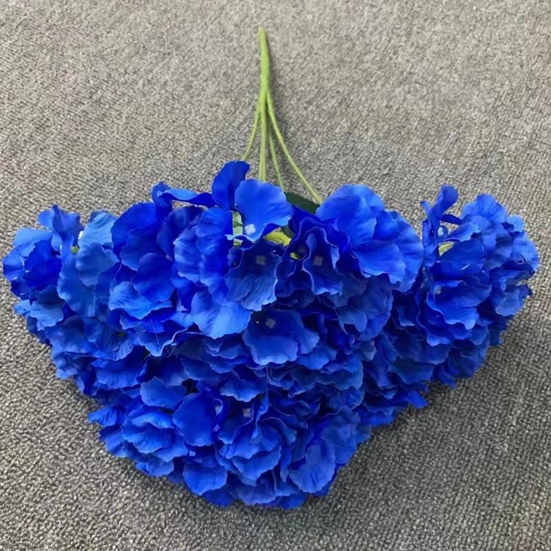 5头绣球克莱因蓝