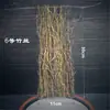 Decoração de Prato de Sashimi, Tiras de Bambu, Cerca de Bambu, Prato para Churrasco de Restaurante Japonês, Decoração de Prato, Decorações de Prato Estilo Japonês