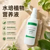 Solución Nutritiva para Plantas Hidropónicas Tipo Universal Doméstico para Cultivar Flores y Plantas Verdes Plantas Verdes Hidropónicas Plantas en Maceta Árbol del Dinero Fertilizante Líquido