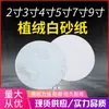 Disco Redondo Bull Dorado de 5 pulgadas Autoadhesivo Terciopelo Blanco Papel de Lija para Lijado en Seco 23479 Hoja de Papel de Lija Pulidora Neumática