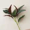 Flor Artificial Calathea Morada Pequeña de Liberación Lenta de 2 Ramas Estilo Ins Decoración del Hogar Boda Transfronteriza Flor Falsa Venta al por Mayor