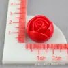 Accesorios de Resina Adornos Miniatura Muñeca de Postre Casa de Muñecas Comida Artificial Juguete Llavero de Chocolate Material para Manualidades Venta al por Mayor
